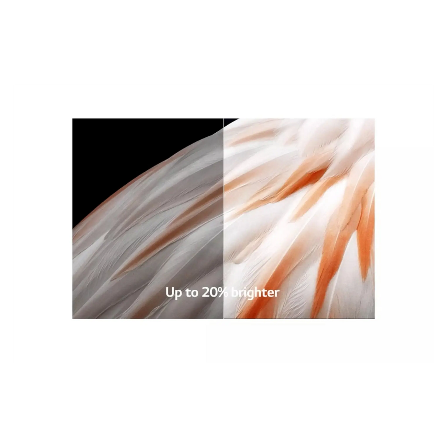 Open box LG 65-inch C3 Series 4K UHD HDR OLED smart TV with webOS Evo ThinQ AI, sleek modern electronics display