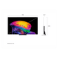 LG 83-inch OLED evo AI C6 4K Smart TV displaying vibrant images with slim black bezel and sleek design.